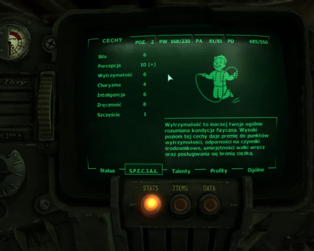 Spolszczenie Fallout 3: Jak bez problemu dodać polski dubbing do kultowej gry